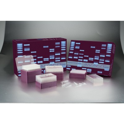 Barrier Pipette Tips