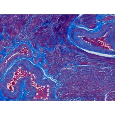 Aniline Blue (Masson) - 100ML