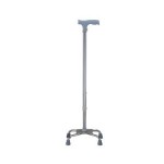 Walking Stick