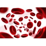 Hematology
