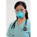 N95 Disposable Respirator 