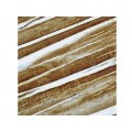 Actin Sarcomeric , 5C5 , IgM - 1ml