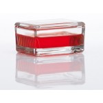 STAINING DISH, 10-20 SLIDE UNIT