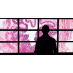 Clinical Pathology