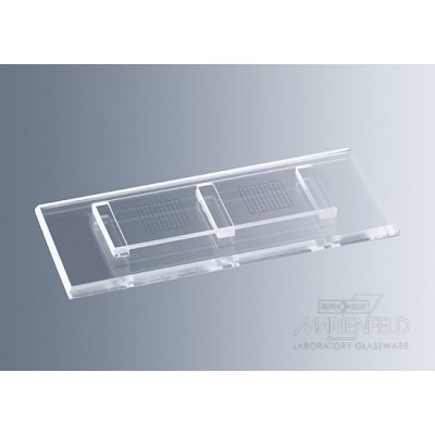 Counting chambers McMaster with 2 grids