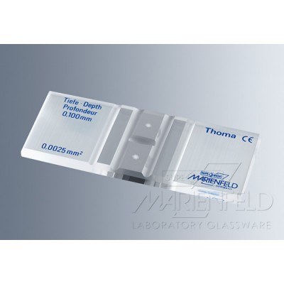 Counting chambers - Bright line - without clamps