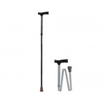 Walking Stick