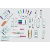 Rapid Tests Rapid Tests