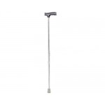 Walking Stick