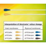 Amniotic Fluid Test