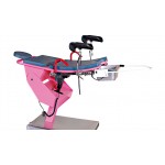 Parturition Delivery Bed Parturition Delivery Bed